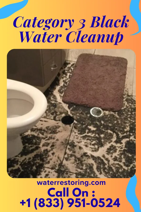 Category 3 Black Water Cleanup in Anna, OH
