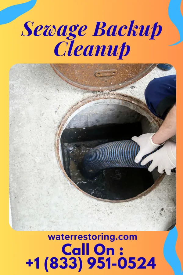 Sewage Backup Cleanup in Anna, OH